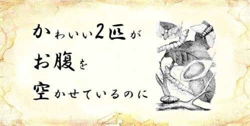 「かわいい2匹がお腹を空かせているのに」という文字と、「カイコ」のイラスト.jpg