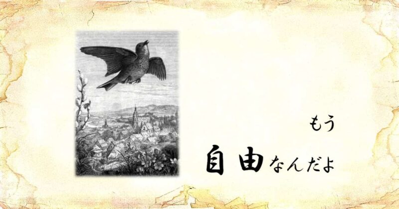 「もう自由なんだよ」という文字と、「鳥が飛ぶ」のイラスト